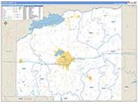 Hopkins, Tx Carrier Route Wall Map