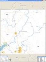 Hutchinson, Tx Carrier Route Wall Map