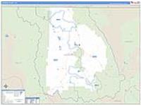 Jackson, Co Carrier Route Wall Map