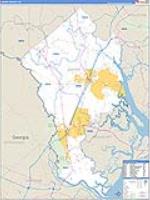 Jasper, Sc Carrier Route Wall Map