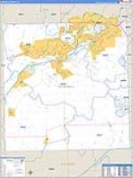Kendall, Il Carrier Route Wall Map