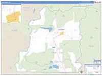 Lake, Co Carrier Route Wall Map
