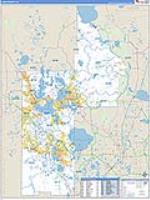 Lake, Fl Carrier Route Wall Map