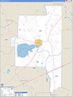 Lanier, Ga Carrier Route Wall Map