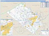 Lehigh, Pa Carrier Route Wall Map