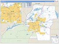 Leon, Fl Carrier Route Wall Map