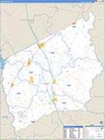 Leon, Tx Carrier Route Wall Map