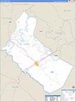 Long, Ga Carrier Route Wall Map