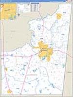 Lowndes, Ms Carrier Route Wall Map