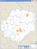 Macon, Ga Carrier Route Wall Map