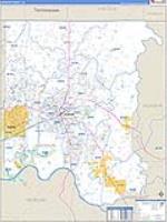 Madison, Al Carrier Route Wall Map