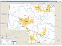 Marion, Al Carrier Route Wall Map