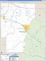Marshall, Ms Carrier Route Wall Map