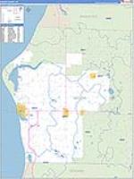 Mason, Mi Carrier Route Wall Map