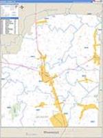 Mcnairy, Tn Carrier Route Wall Map