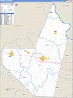 Moniteau, Mo Carrier Route Wall Map