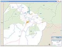 Montezuma, Co Carrier Route Wall Map