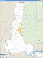 Murray, Ga Carrier Route Wall Map
