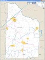 Nevada, Ar Carrier Route Wall Map