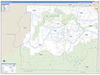 Newton, Ar Carrier Route Wall Map