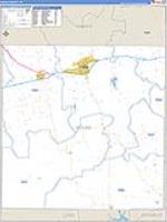 Nolan, Tx Carrier Route Wall Map