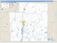 Otsego, Mi Carrier Route Wall Map