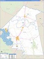 Polk, Tx Carrier Route Wall Map