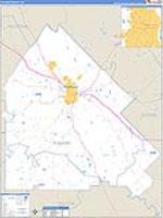 Pulaski, Ga Carrier Route Wall Map