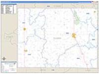 Pulaski, In Carrier Route Wall Map