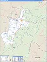 Randolph, Wv Carrier Route Wall Map