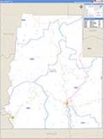 Real, Tx Carrier Route Wall Map