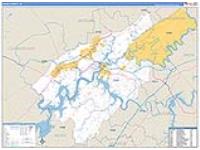 Roane, Tn Carrier Route Wall Map