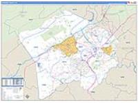 Roanoke, Va Carrier Route Wall Map