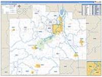 Saginaw, Mi Carrier Route Wall Map