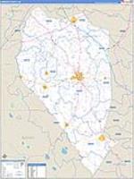 Sampson, Nc Carrier Route Wall Map