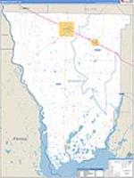 Seminole, Ga Carrier Route Wall Map