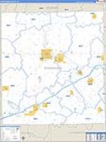 Shiawassee, Mi Carrier Route Wall Map