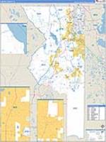 Sumter, Fl Carrier Route Wall Map
