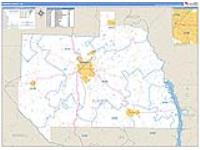 Sumter, Ga Carrier Route Wall Map