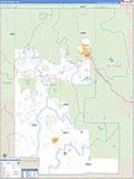Teller, Co Carrier Route Wall Map