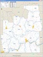 Tioga, Ny Carrier Route Wall Map