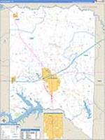 Titus, Tx Carrier Route Wall Map