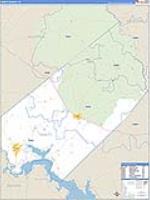 Trinity, Tx Carrier Route Wall Map