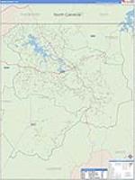 Union, Ga Carrier Route Wall Map