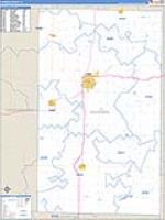 Warren, Il Carrier Route Wall Map