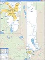 Washoe, Nv Carrier Route Wall Map