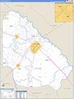 Wayne, Ga Carrier Route Wall Map