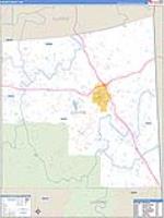 Wayne, Ms Carrier Route Wall Map