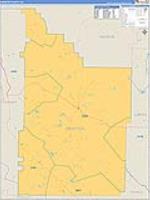 Webster, Ga Carrier Route Wall Map