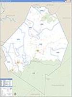 Webster, Wv Carrier Route Wall Map